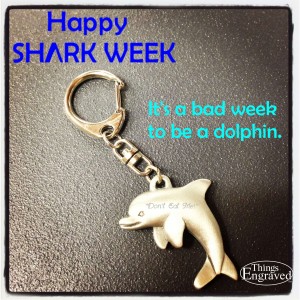 shark week dolphin1